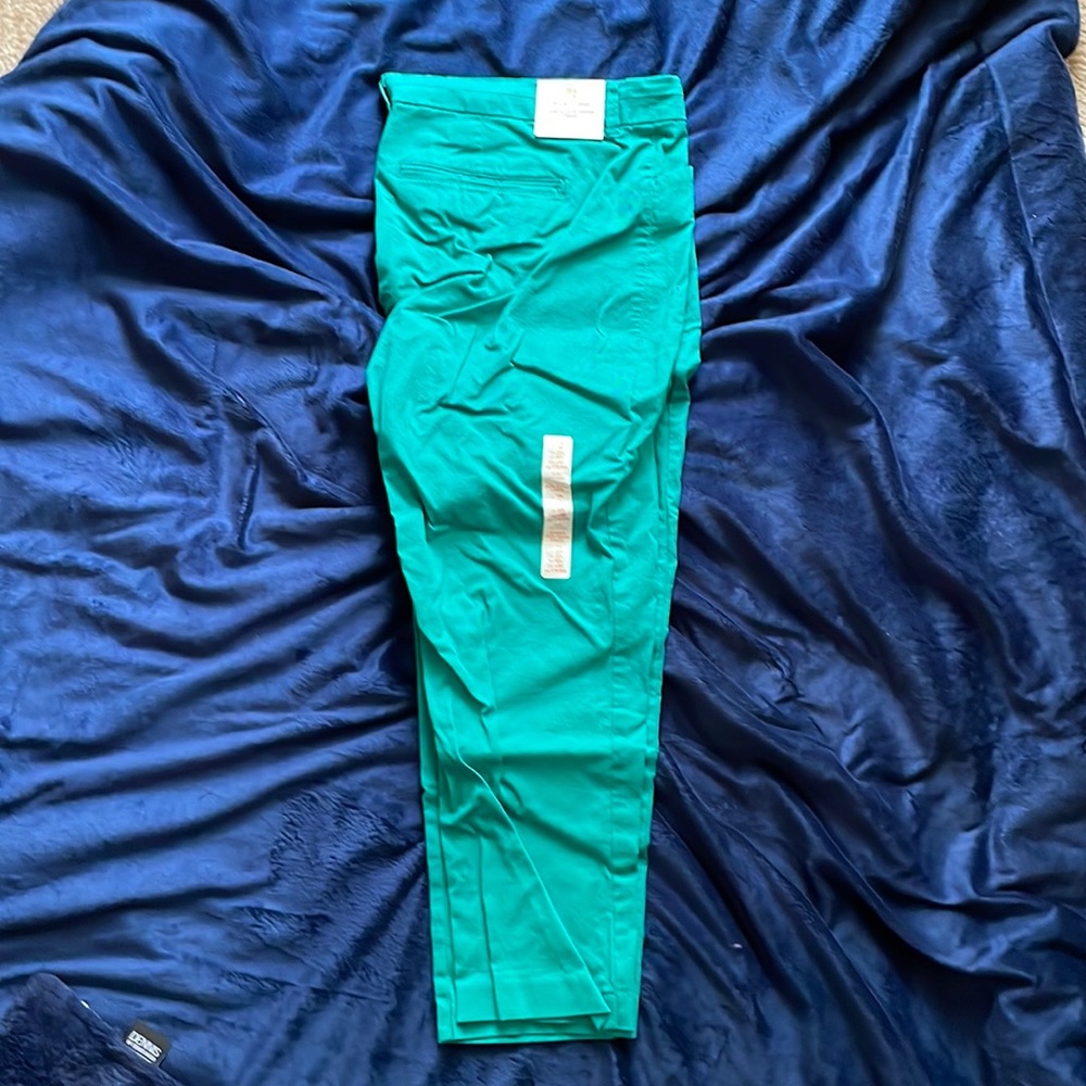 Gap Slim city khaki, brand new with tags 18R